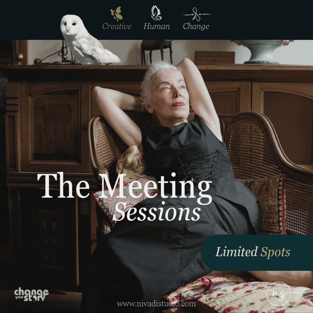 Meeting Sessions with Niv